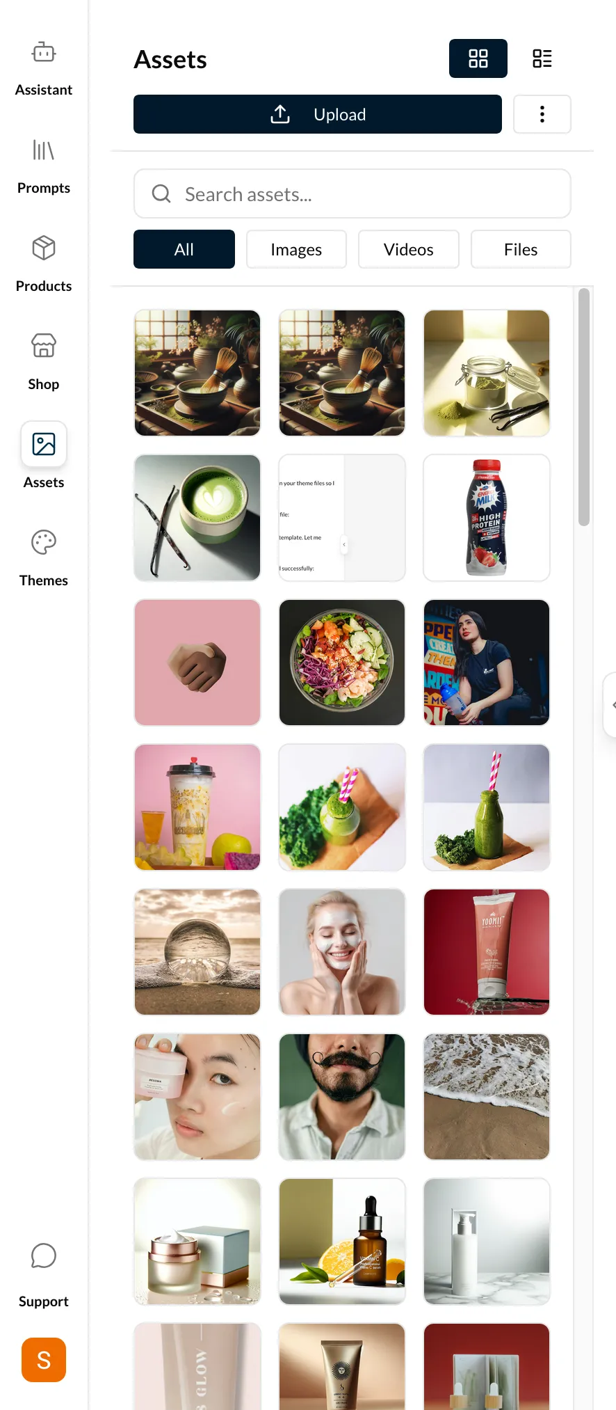 Assets tab showing a grid of uploaded images